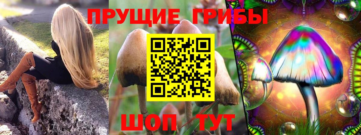 Псилоцибиновые грибы Psilocybe  Вход с VPN  Ливны 